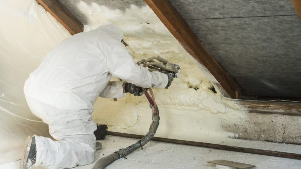 This is the image description